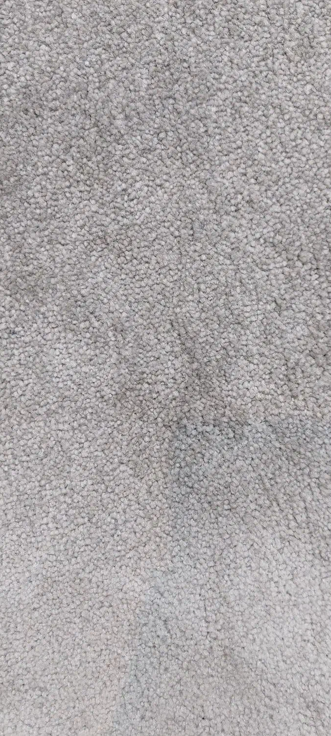 پالاز موکت و فرش محتشم نونو|فرش|قم, نیروگاه|دیوار