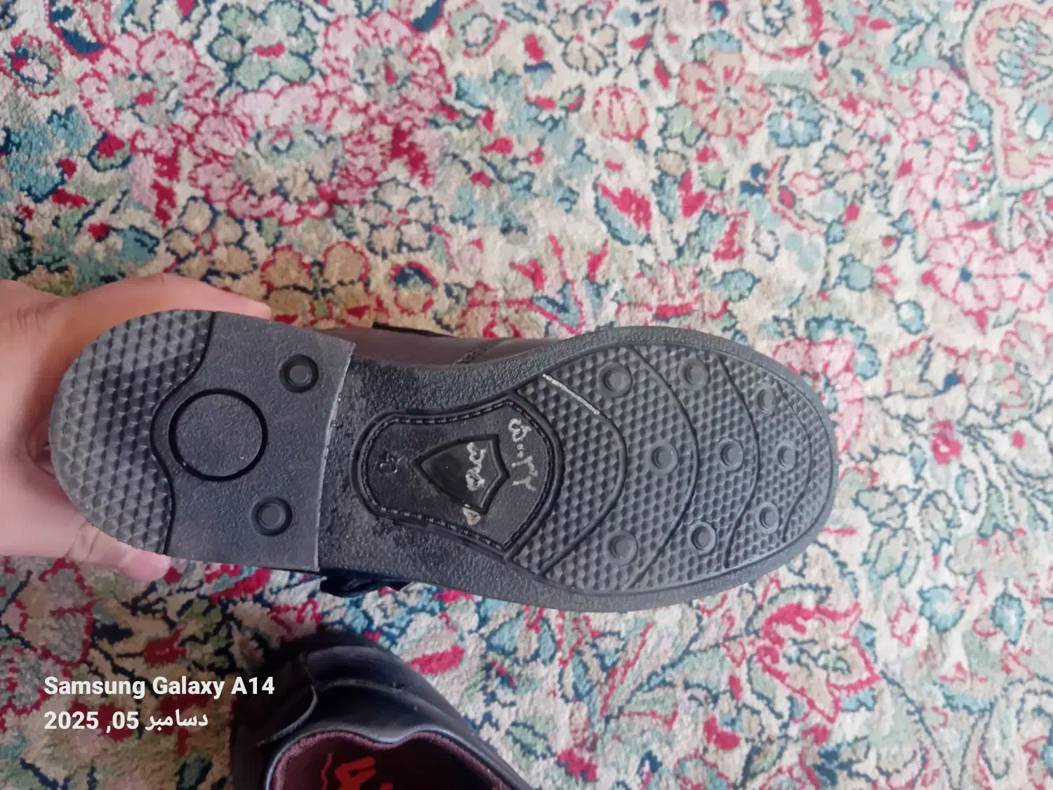 کفش مجلسی مردانه|کیف، کفش، کمربند|زرند, |دیوار