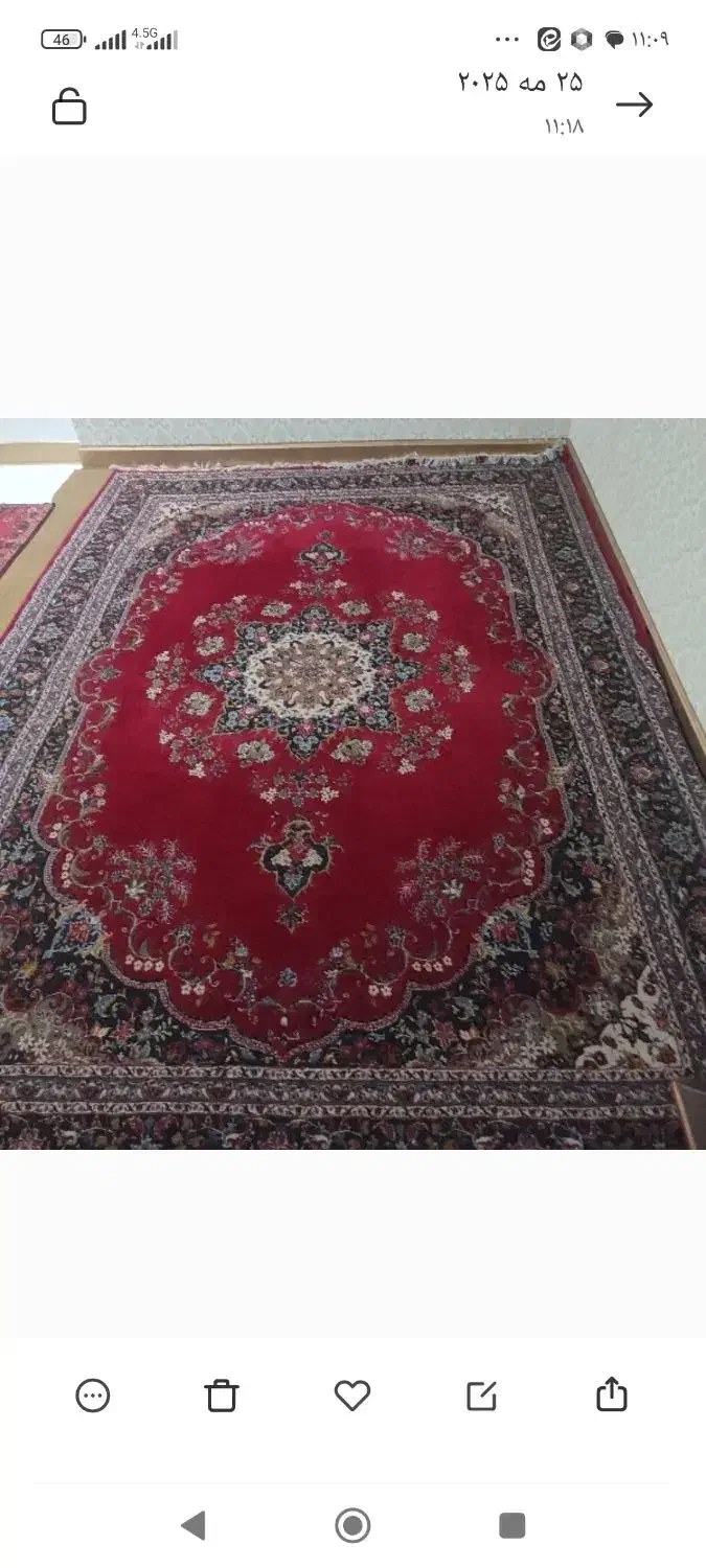 فرش ماشینی|فرش|تبریز, |دیوار