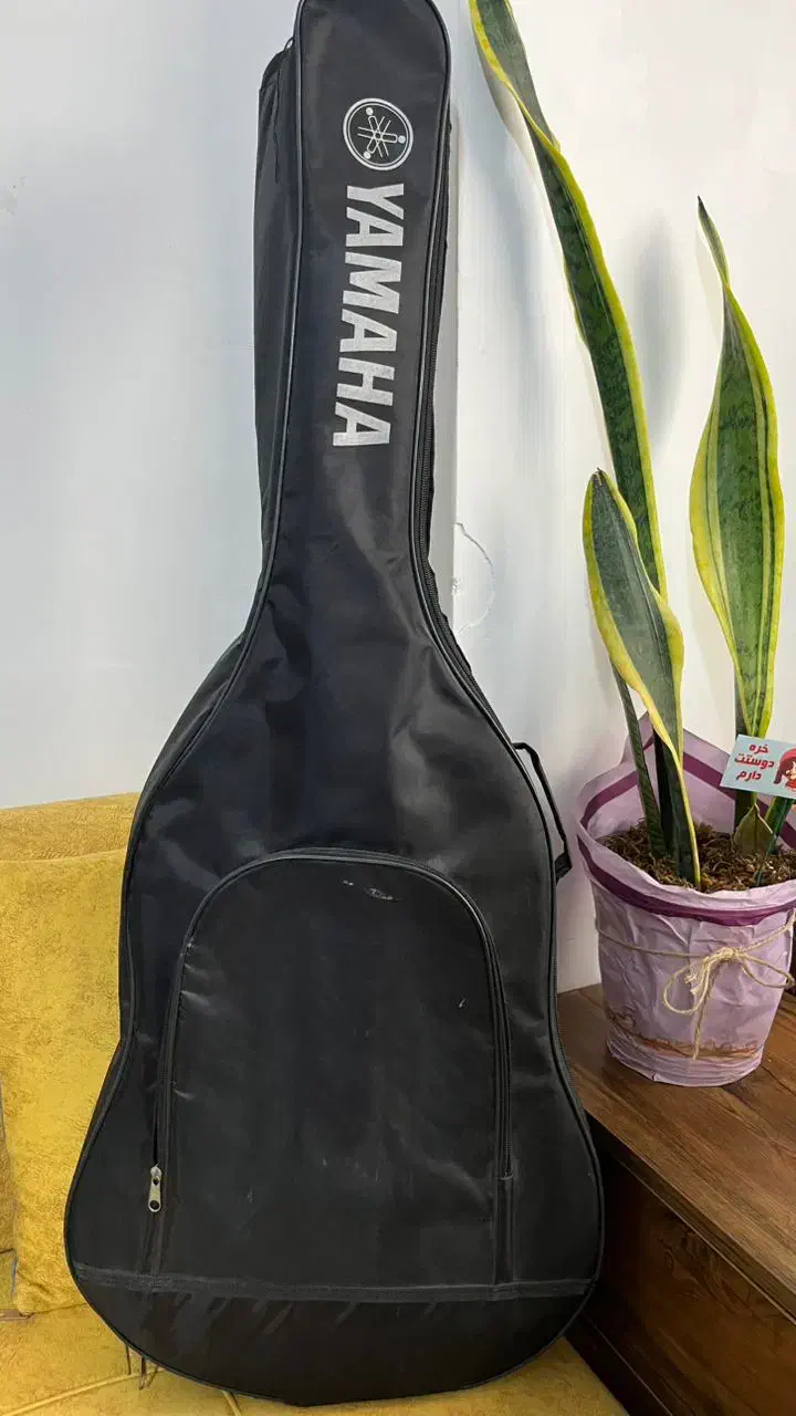 گیتار یاماها آموزشی|گیتار، بیس، امپلیفایر|شیراز, شهرک نیروی انتظامی|دیوار