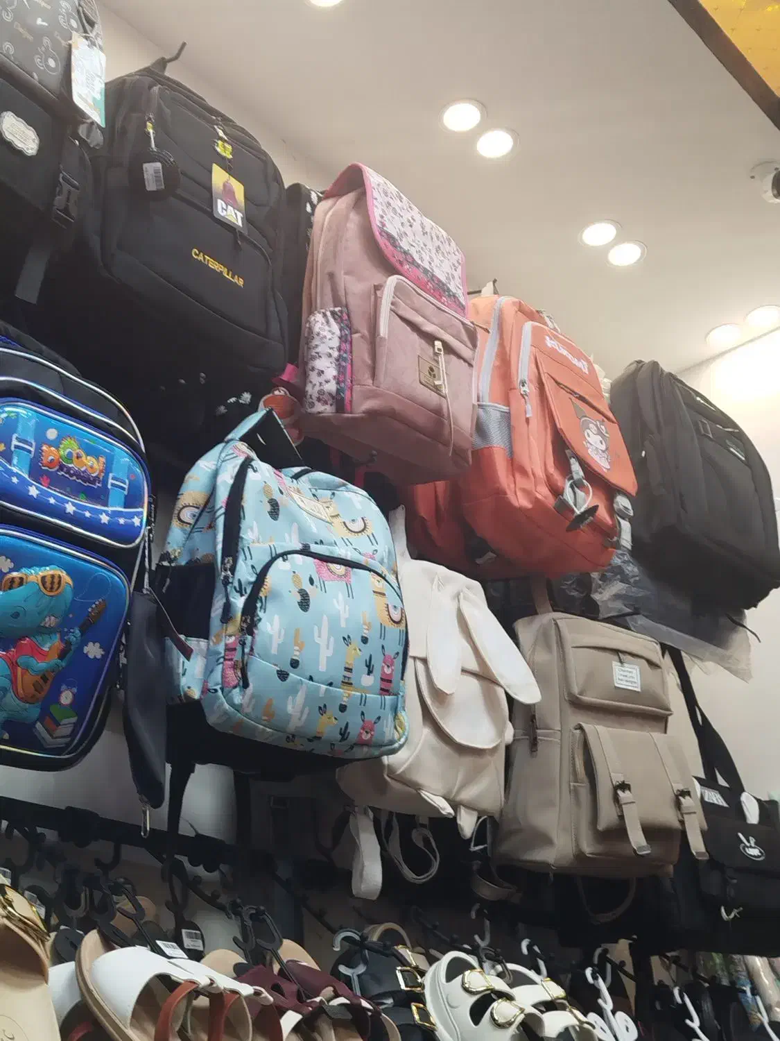 انواع کیف ( مجلسی ، مدارس )|کیف، کفش، کمربند|صدرا-فارس, فاز ۱|دیوار