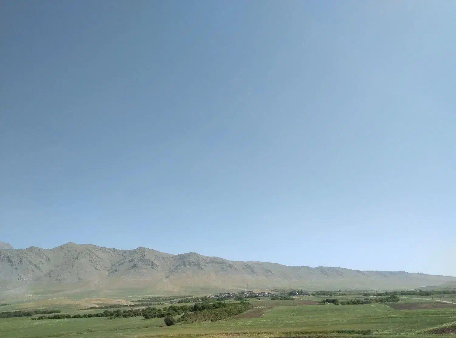 من زنبور دارم دنبال جاهستم|فعالیت داوطلبانه|اندیمشک, |دیوار