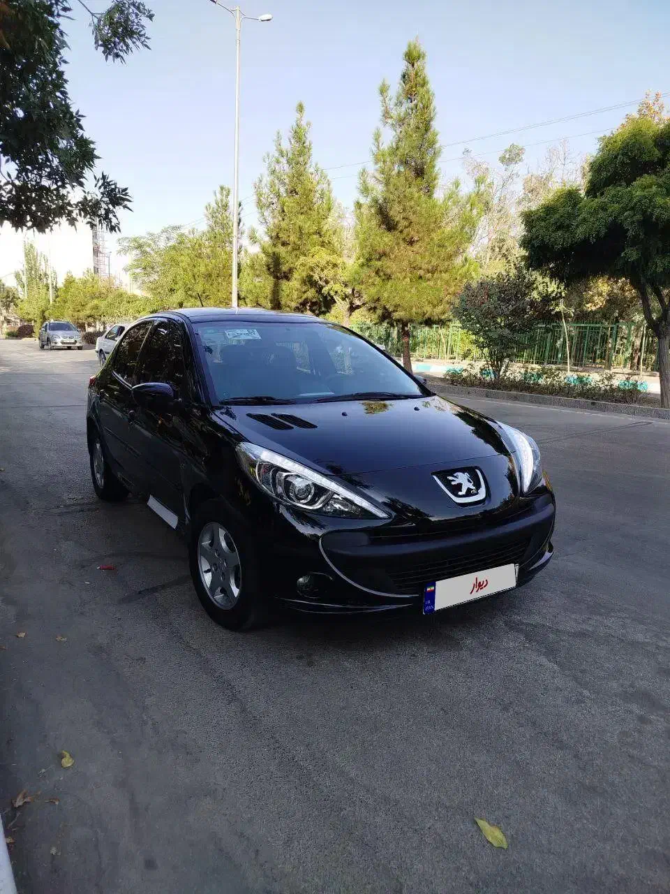 ۲۰۷ پانوراما مدل ۱۴۰۱|خودرو سواری و وانت|همدان, |دیوار