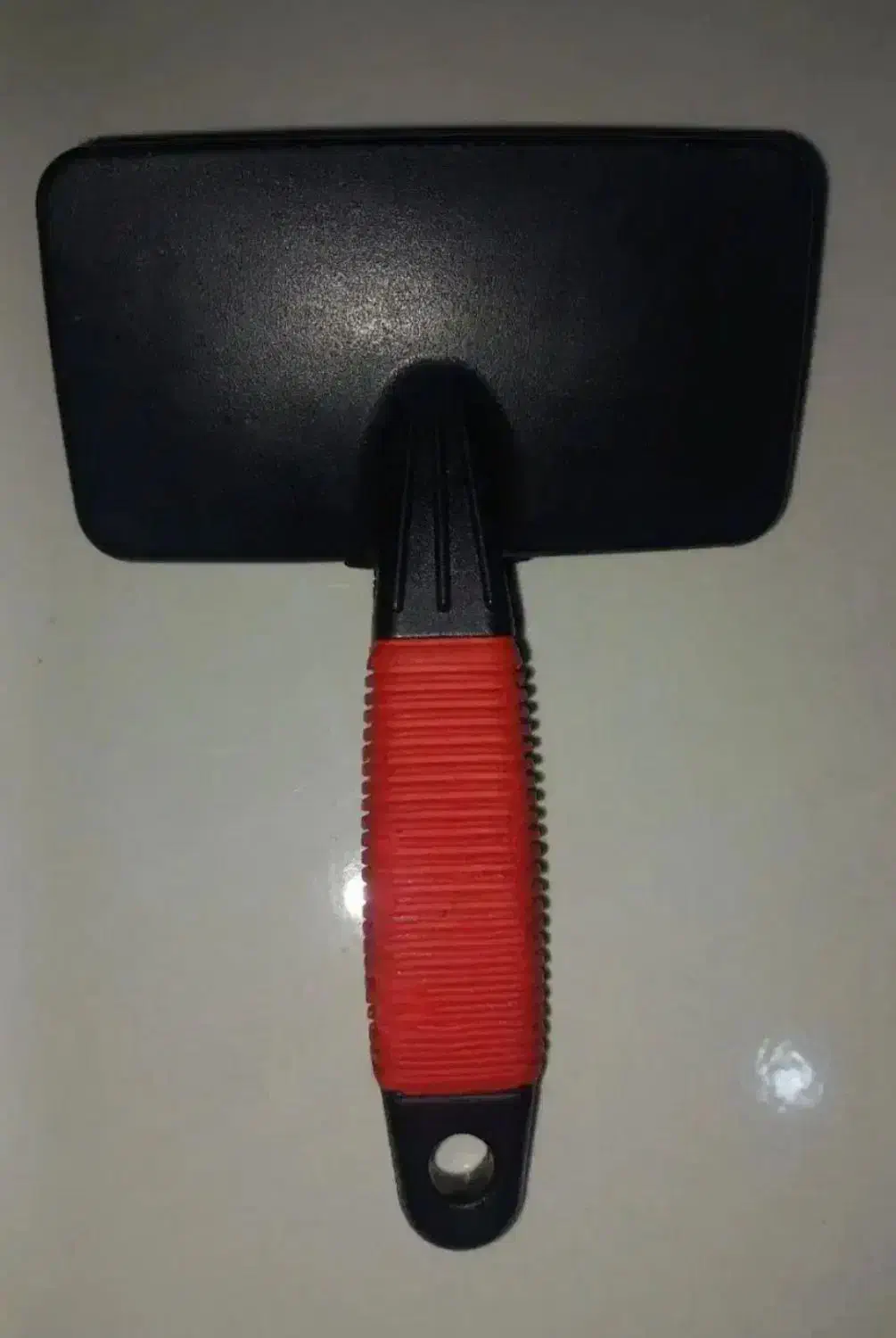 برس سگ|لوازم جانبی حیوانات|رشت, نظری|دیوار