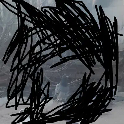 کبوتر نر|حیوانات|بجنورد, |دیوار