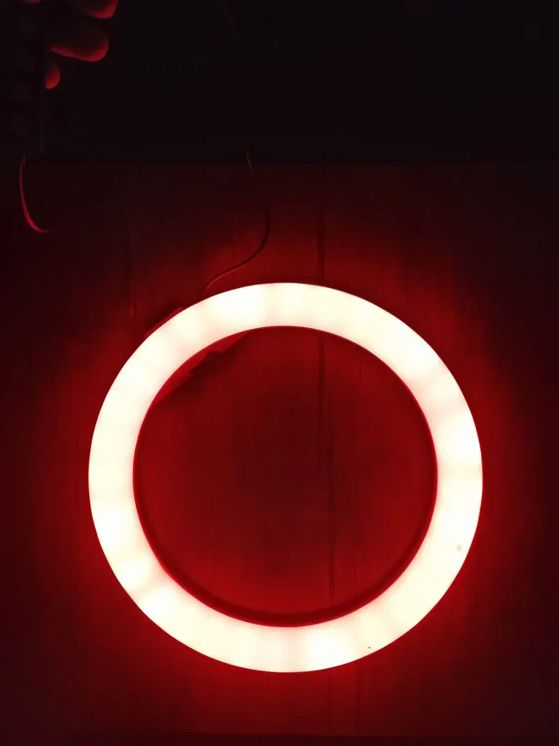 رینگ لایت عکاسی|دوربین عکاسی و فیلمبرداری|سراوان, |دیوار