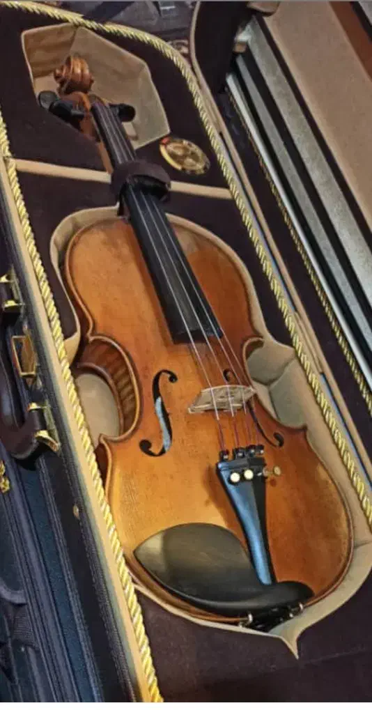 آموزش موسیقی|خدمات آموزشی|شاهرود, |دیوار