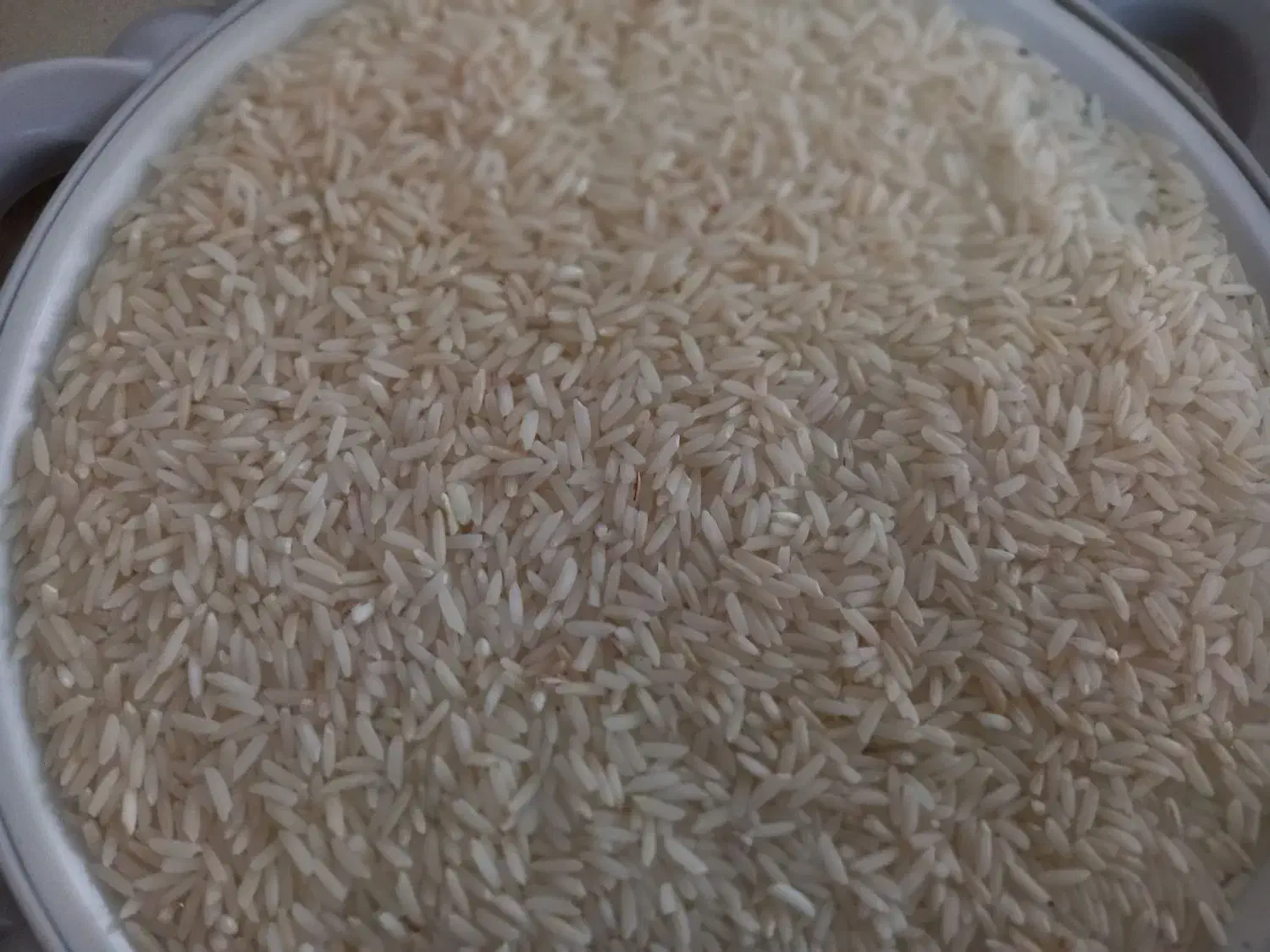 برنجهاشمی|خوردنی و آشامیدنی|رودبنه, |دیوار