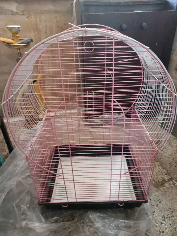 قفس پرنده بزرگ|لوازم جانبی حیوانات|پرند, فاز ۴|دیوار