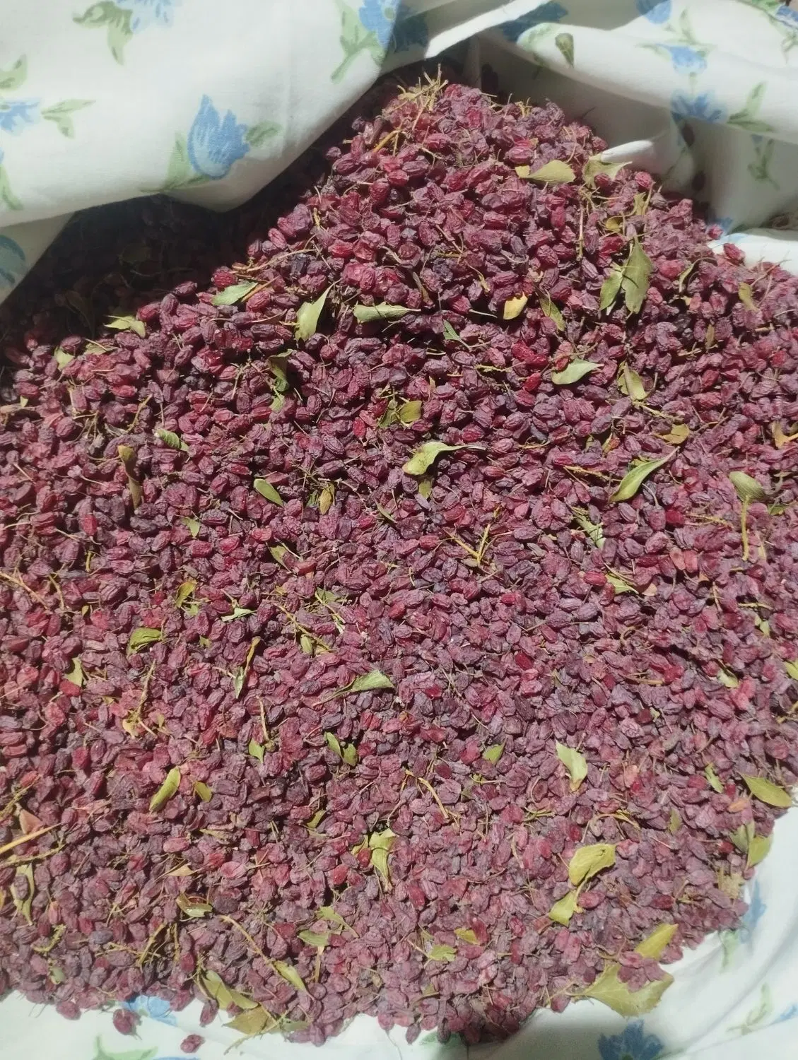 زرشک باد کش|خوردنی و آشامیدنی|مود, |دیوار