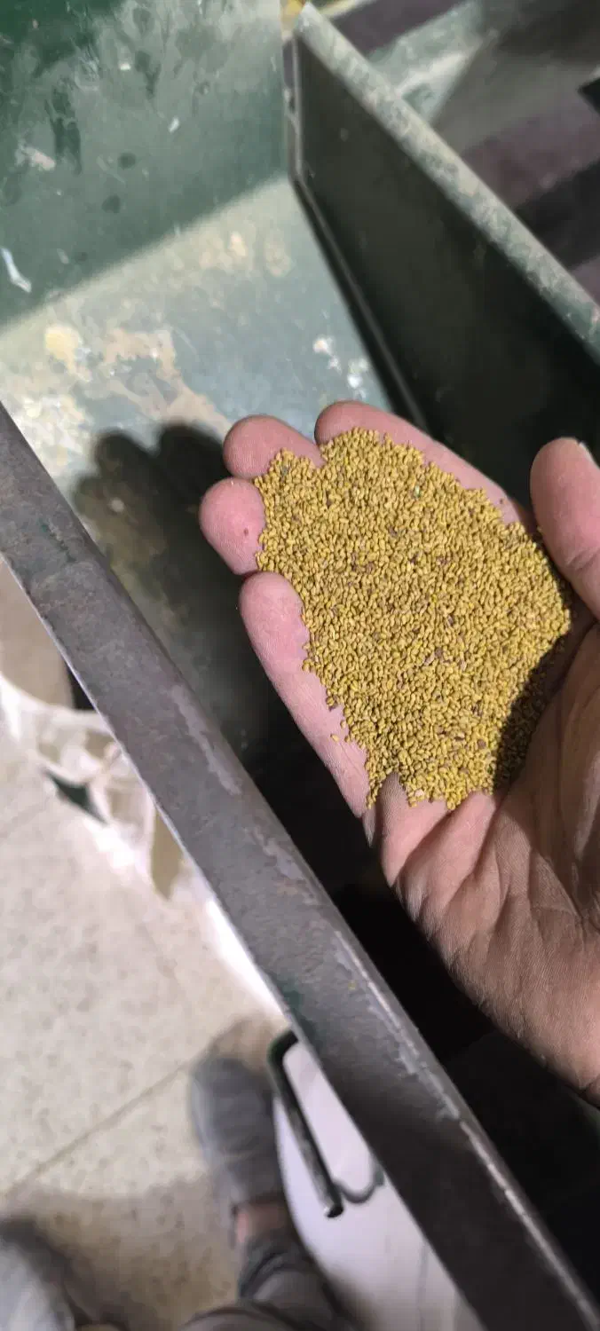 بذر یونجه/درجه ی یک/۲۵۰کیلو|خدمات باغبانی و درختکاری|شراء, |دیوار