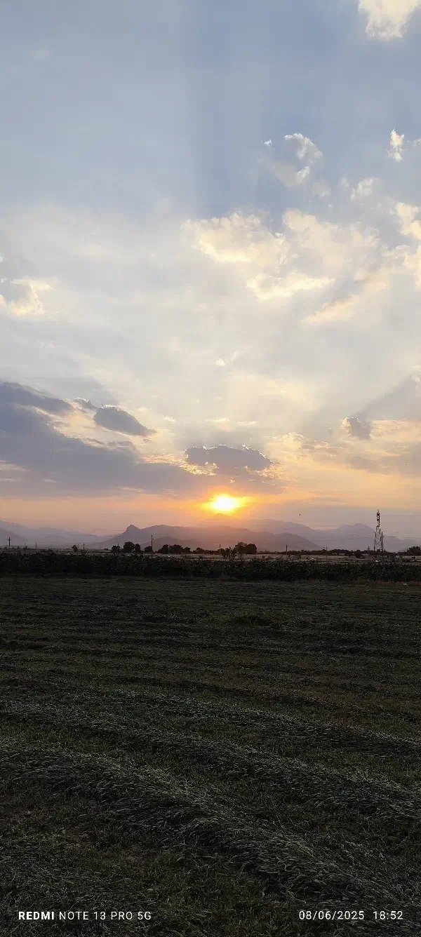 اجاره 4 هکتار زمین کشاورزی بسیار مرغوب|اجارهٔ دفتر صنعتی، کشاورزی، تجاری|دینور, |دیوار