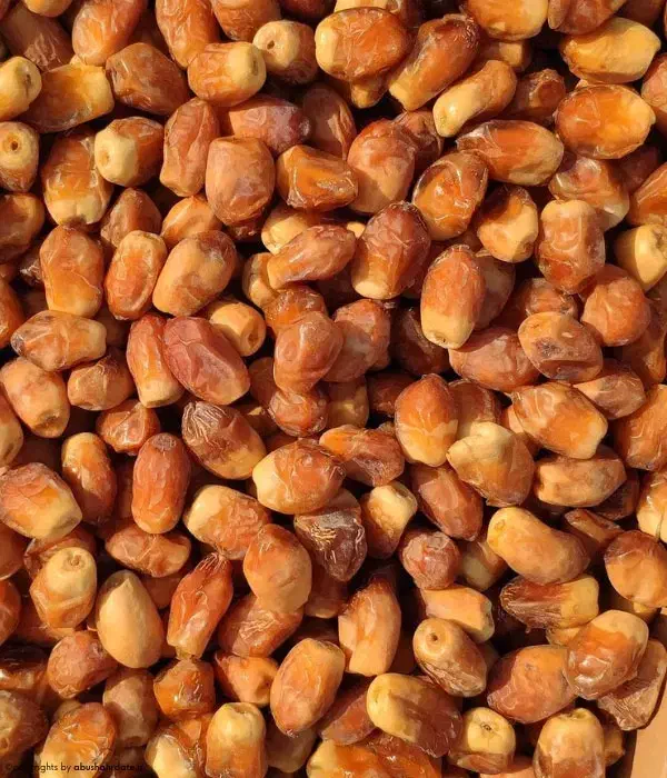 خرما زاهدی امسالی ممتاز|خوردنی و آشامیدنی|قم, بنیاد|دیوار