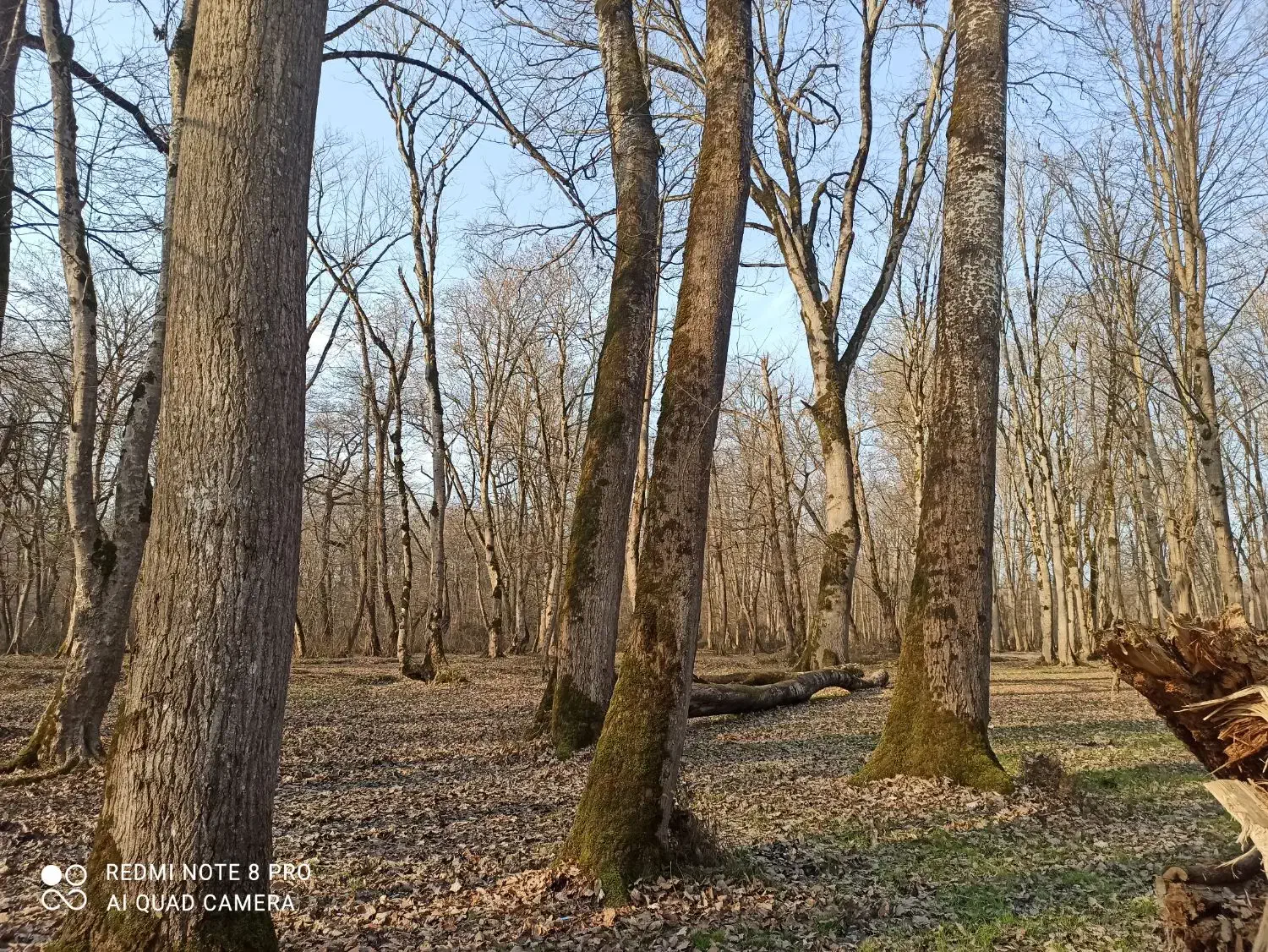 تور تفریحی رایگان|تور و چارتر|بابلسر, |دیوار