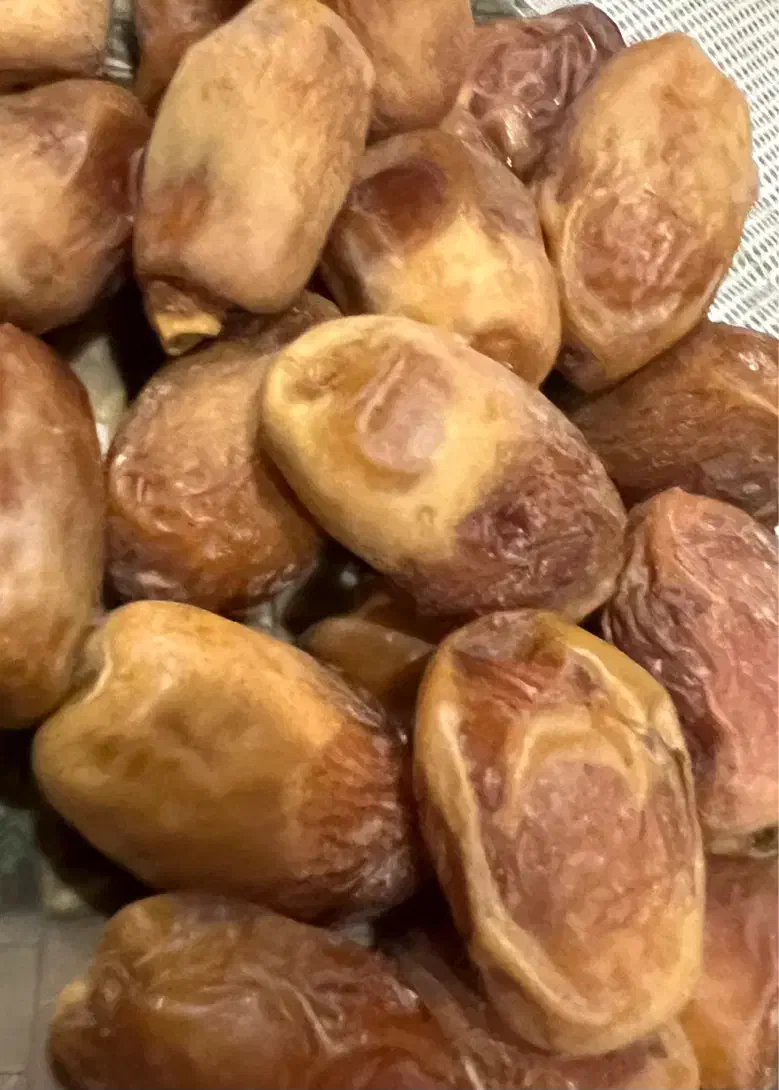 قصب لارستان تازه نرم درجه یک|خوردنی و آشامیدنی|شیراز, دوکوهک|دیوار