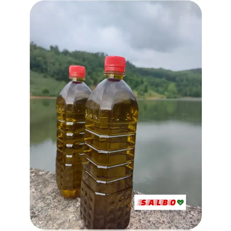 زیتون و روغن زیتون|خوردنی و آشامیدنی|تهران, عباسی|دیوار