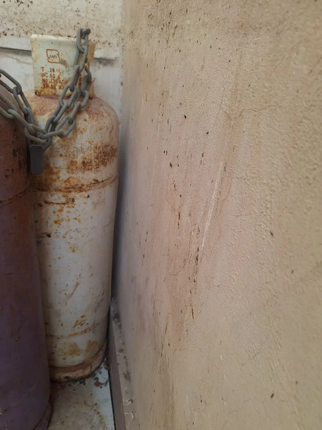 کپسول کیش گاز ۲۵ کیلویی و البرز|اجاق گاز و لوازم برقی پخت‌وپز|کیش, |دیوار