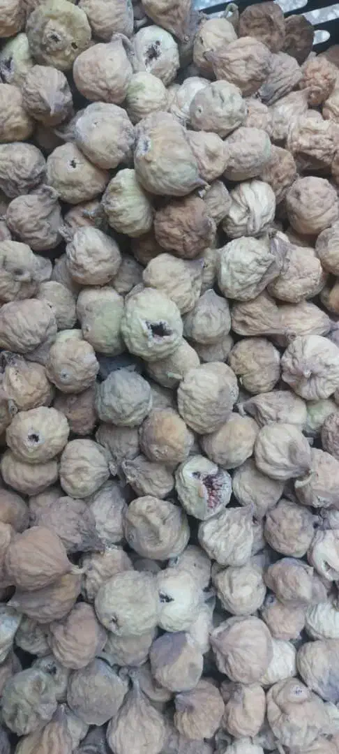 انحیر سفید بش محصول امسال|خوردنی و آشامیدنی|شیراز, گلشن|دیوار