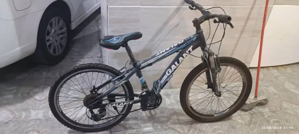 دوچرخه ۲۴|دوچرخه، اسکیت، اسکوتر|بوشهر, |دیوار