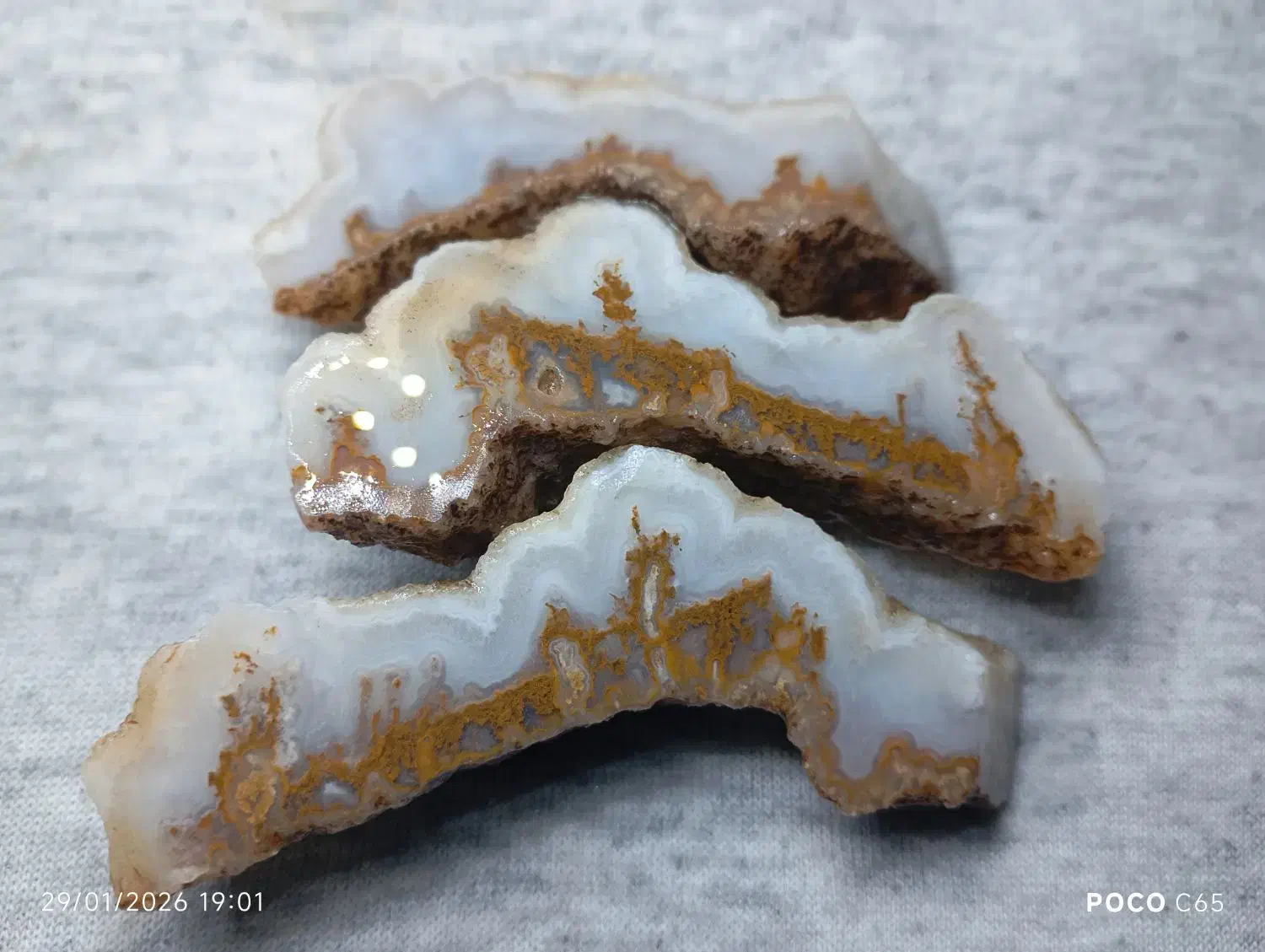 سنگ شجر زیبا|بدلیجات|کرمان, |دیوار