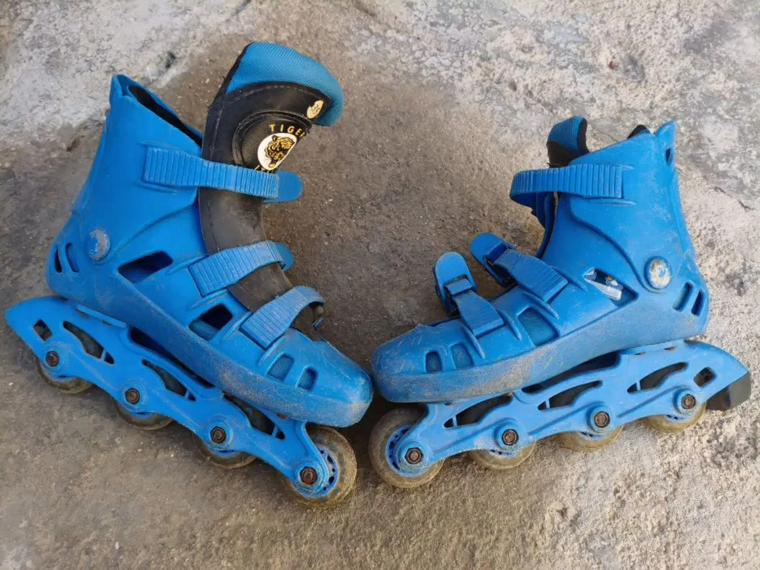 اسکیت|دوچرخه، اسکیت، اسکوتر|بندر ماهشهر, |دیوار