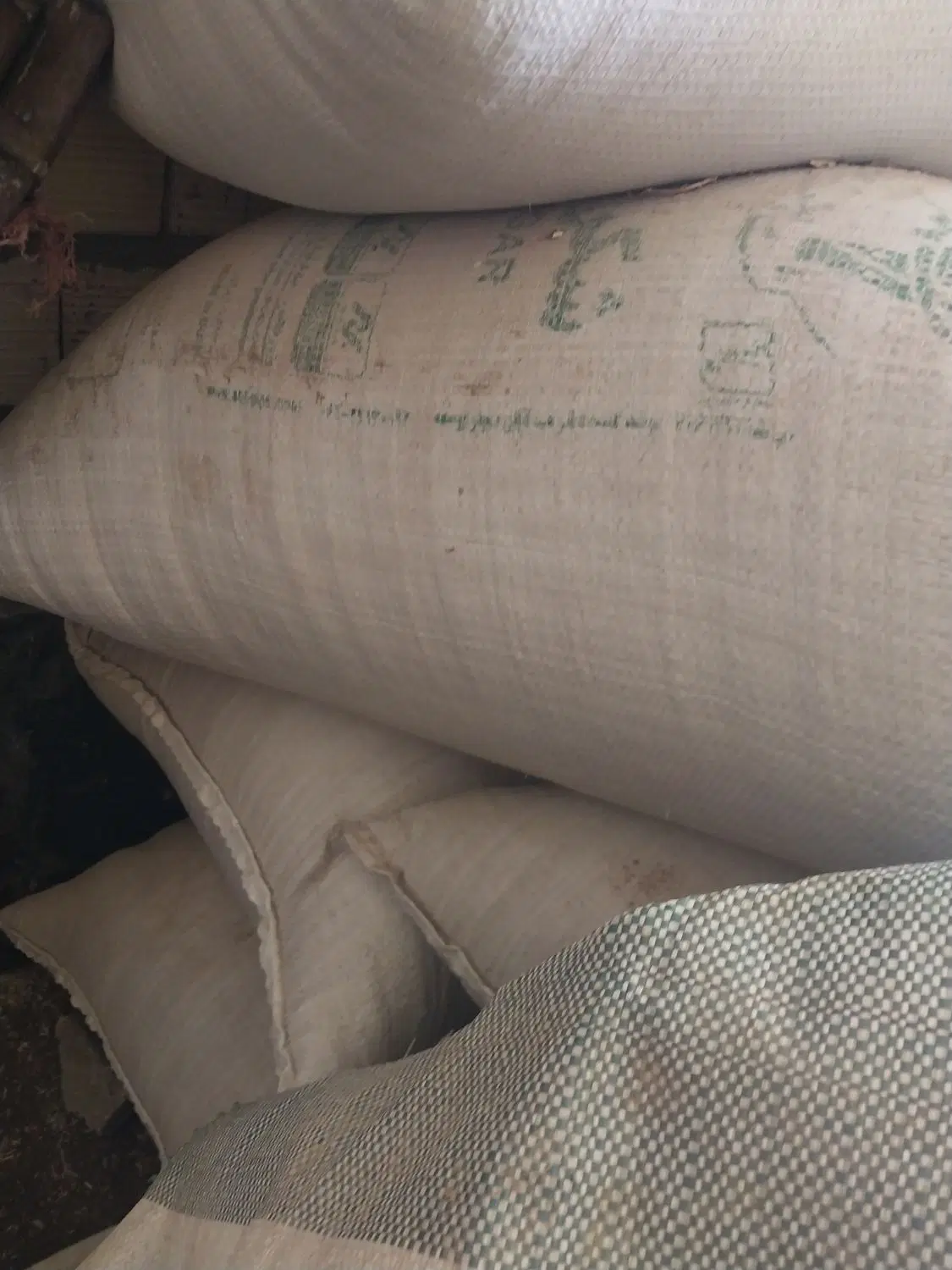 مرجی|لوازم جانبی حیوانات|سراب, |دیوار