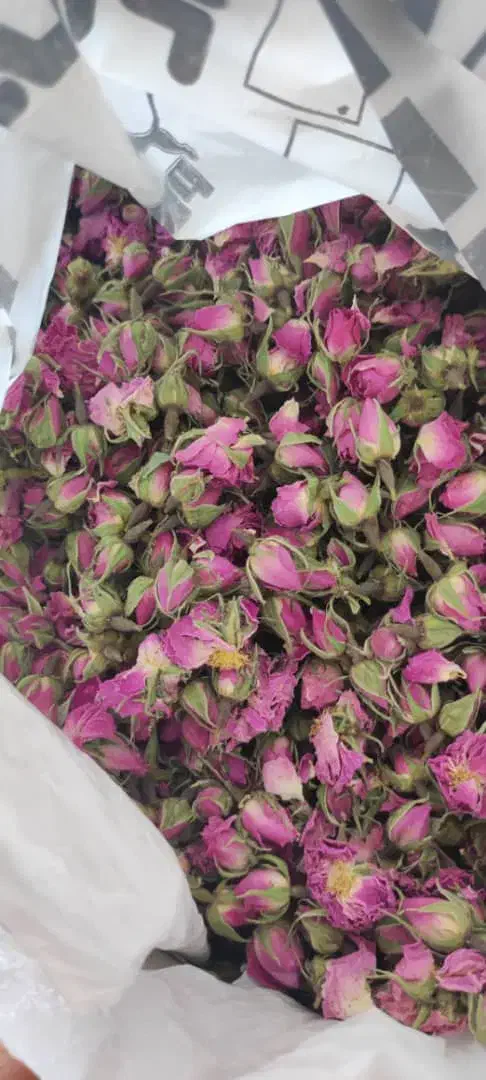 غنچه گل محمدی|خوردنی و آشامیدنی|شیراز, میانرود|دیوار