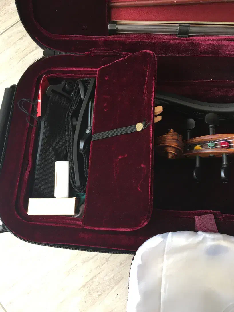 ویولن مولر سایز ۳/۴|ویولن|مشهد, هفت تیر (نه دره)|دیوار