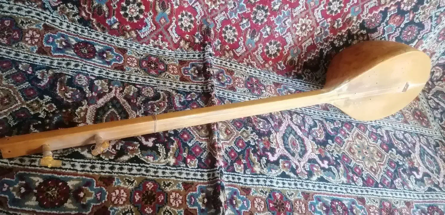 دوتار|سازهای سنتی|قرچک, مهدیه|دیوار