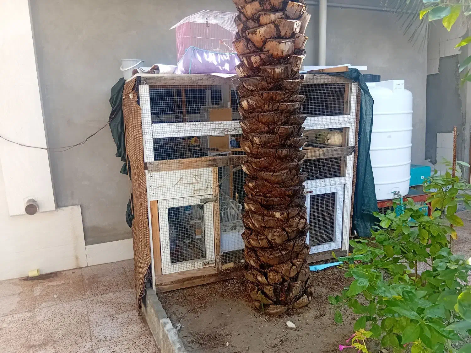 قفس مخصوص پرنده|لوازم جانبی حیوانات|ارد, |دیوار