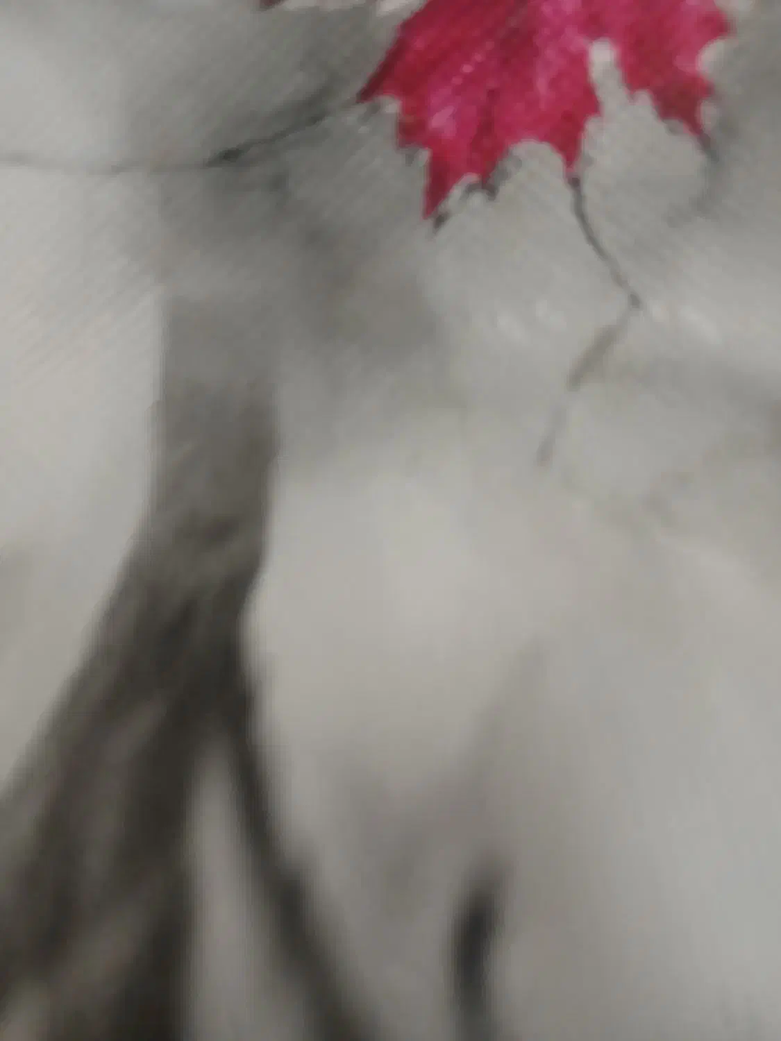 لاستیک|اشیا|تربت‌حیدریه, سرمحله|دیوار