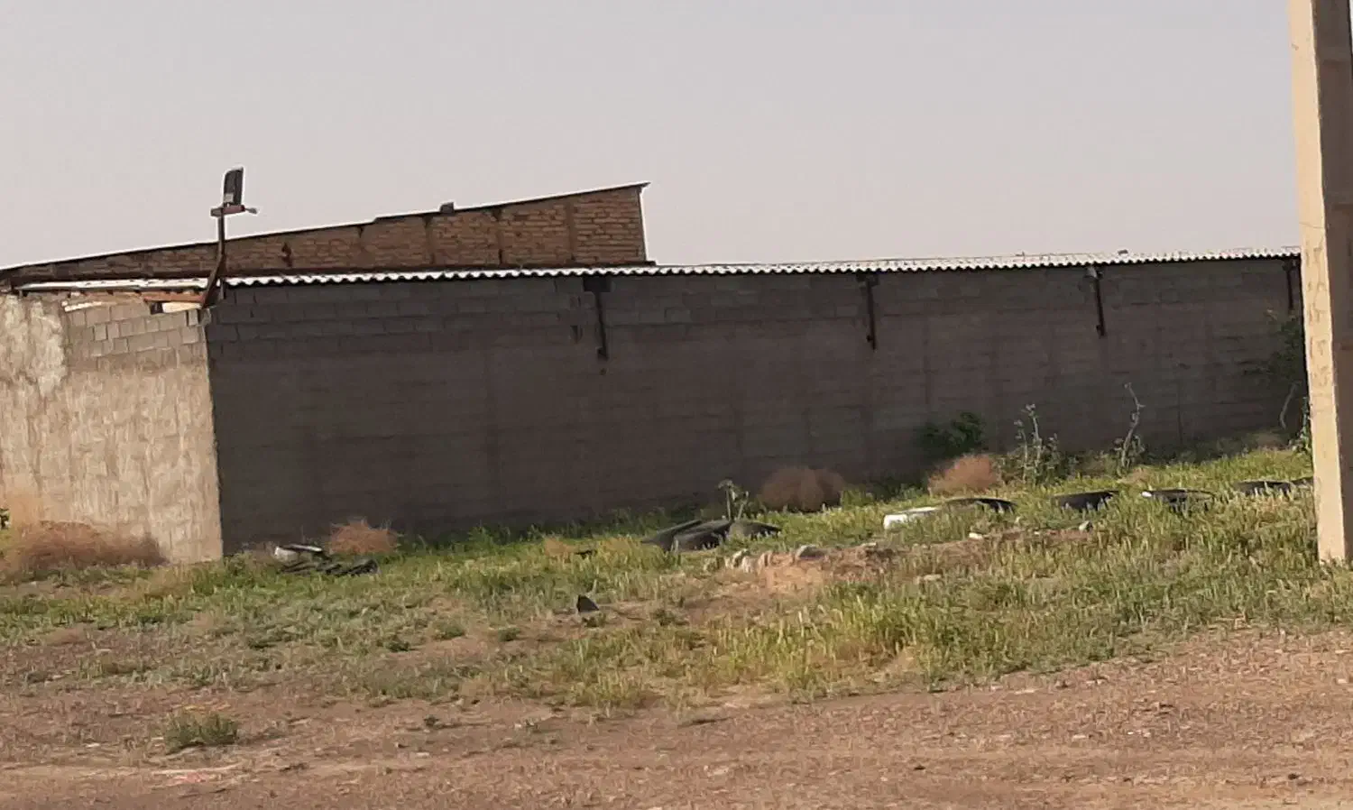 ۷۰۰۰هزارمتر زمین دارای نهال پسته پیوندی وبار دار|فروش دفتر صنعتی، کشاورزی، تجاری|تربت جام, میان جام|دیوار