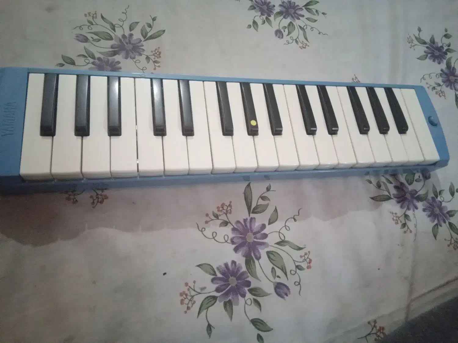 ملودیکای یاماهای ژاپنی|پیانو، کیبورد، آکاردئون|شاهرود, |دیوار