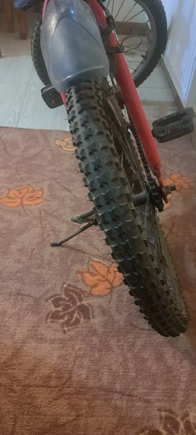 دوچرخه|دوچرخه، اسکیت، اسکوتر|صفادشت, |دیوار