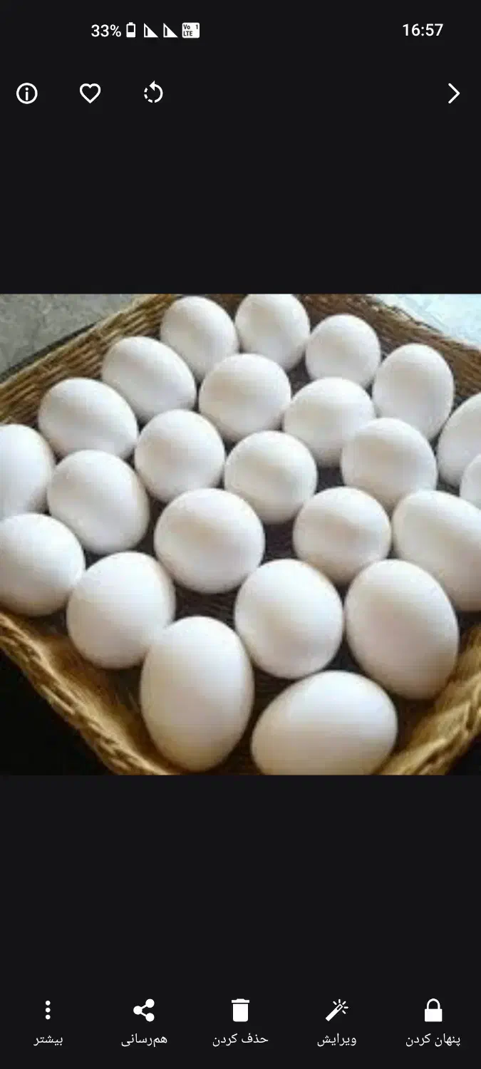 تخم مرغ محلی|خوردنی و آشامیدنی|کاشان, عربها|دیوار