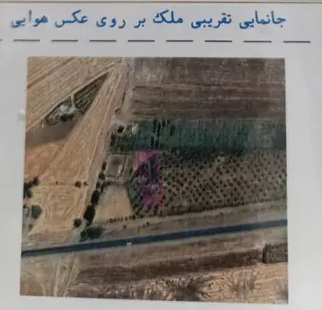 زمین ۱۰۰۰ متری با درختان سیب، متصل به اتوبان|فروش دفتر صنعتی، کشاورزی، تجاری|قصابه, |دیوار