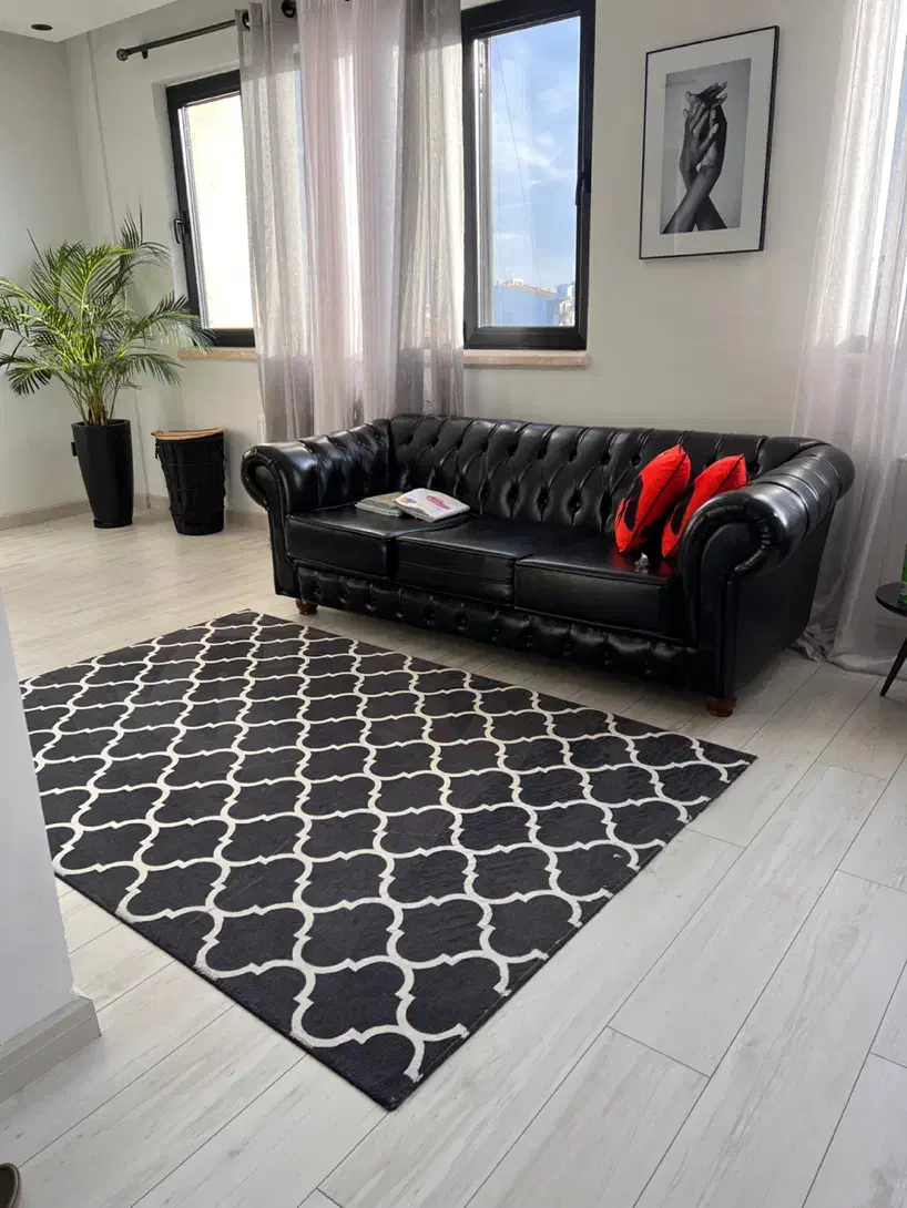 قالیچه|فرش|رشت, کاکتوس|دیوار