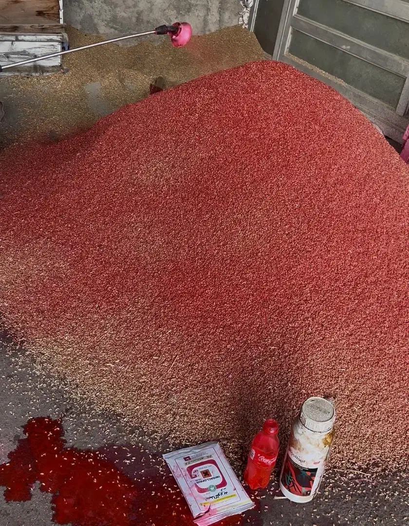 بذر گندم درجه 1|گل و گیاه طبیعی|تاتار علیا, |دیوار