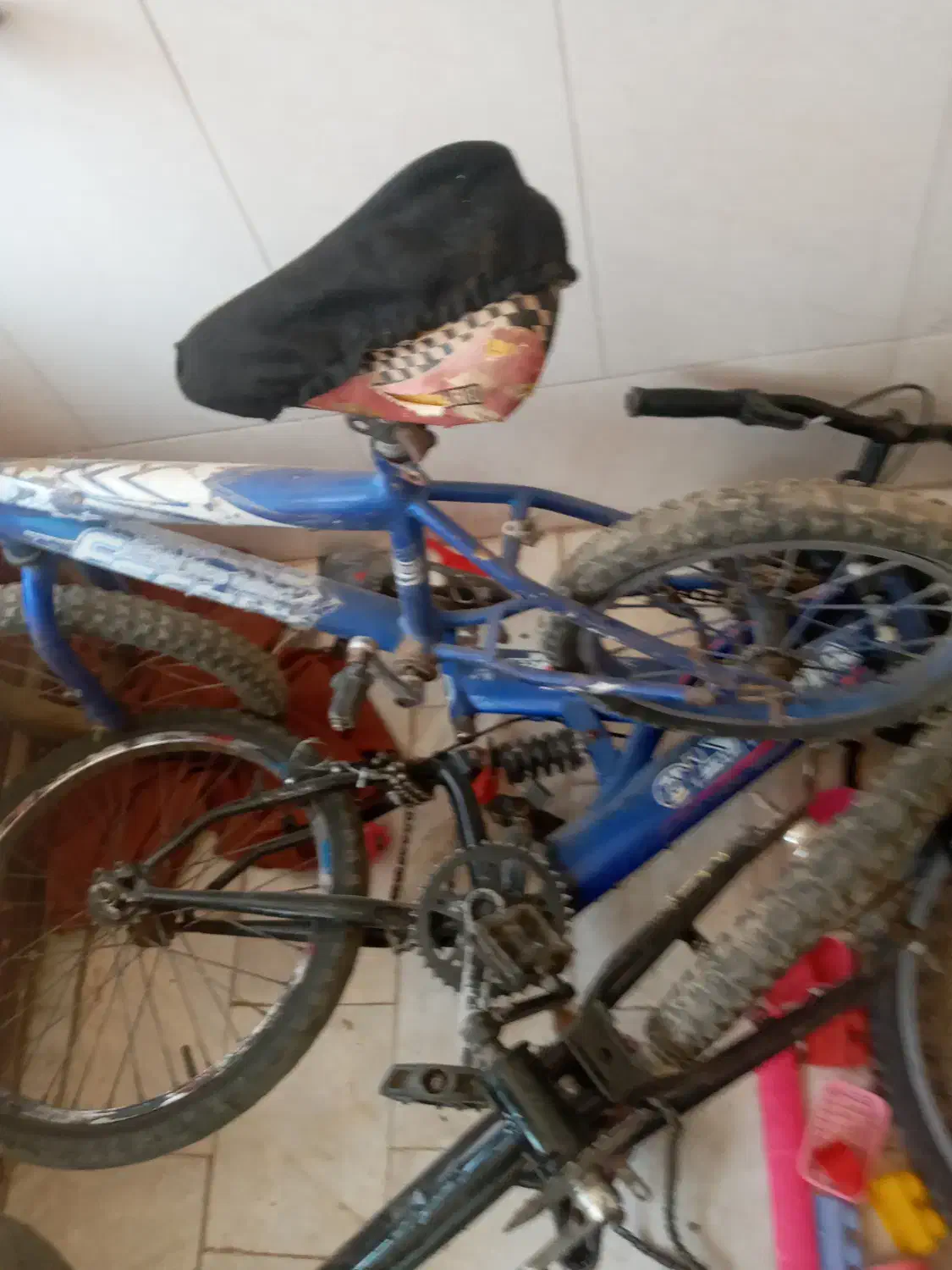 دوچرخه|دوچرخه، اسکیت، اسکوتر|قم, شاد قلی|دیوار