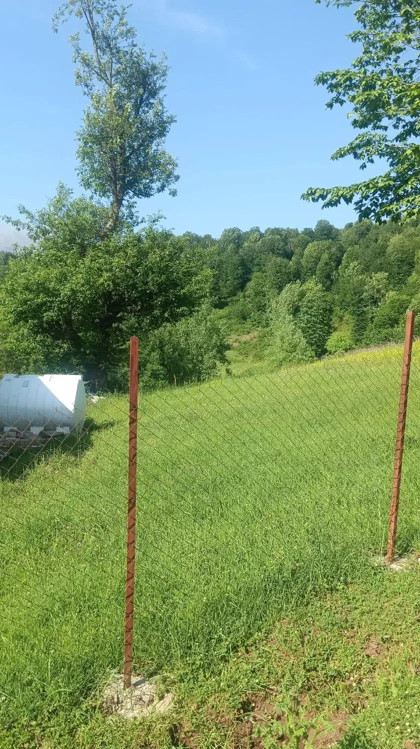 فروش فوری زمین مسکونی|فروش زمین و ملک کلنگی|بره‌سر, |دیوار