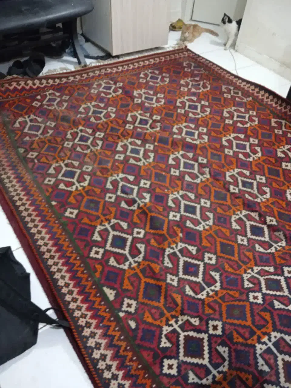 گلیم و جاجیم دست دوم فوری فروشی|گلیم، جاجیم، گبه|تهران, جهاد|دیوار