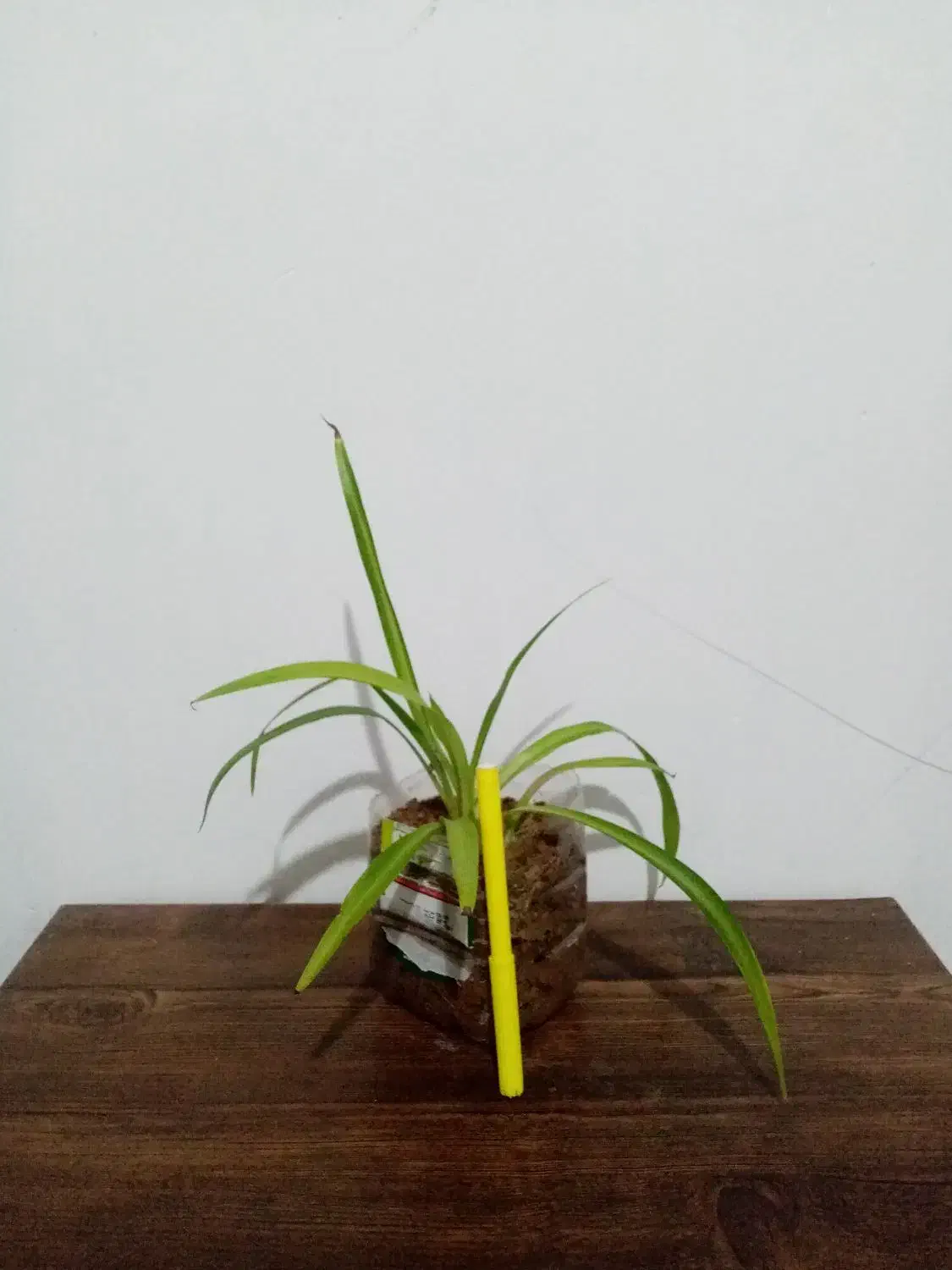 حراج|حراج|یاسوج, |دیوار