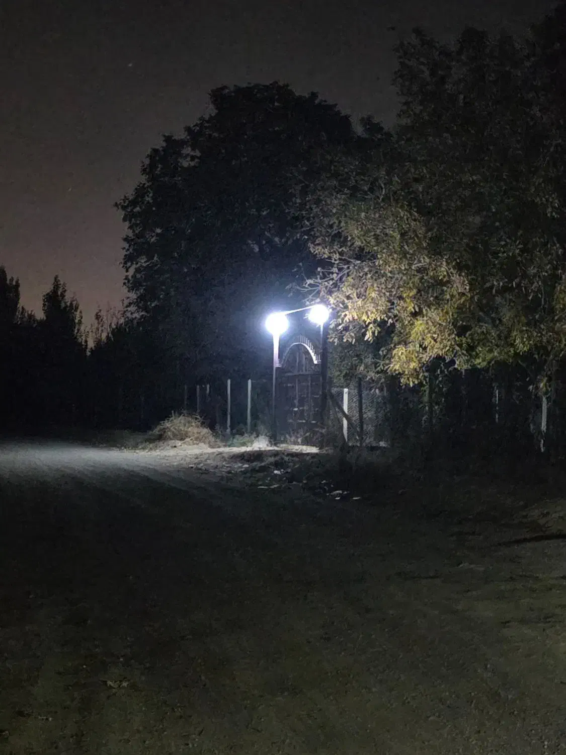 یک قطعه باغ میوه زرد آلو|فروش خانه و ویلا|سلماس, |دیوار