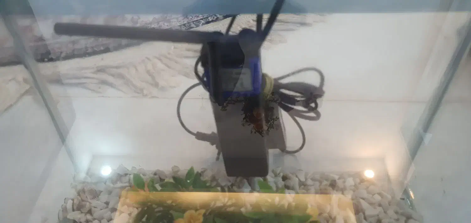 اکواریوم ۲۳×۳۵|ماهی|قم, زنبیل آباد|دیوار