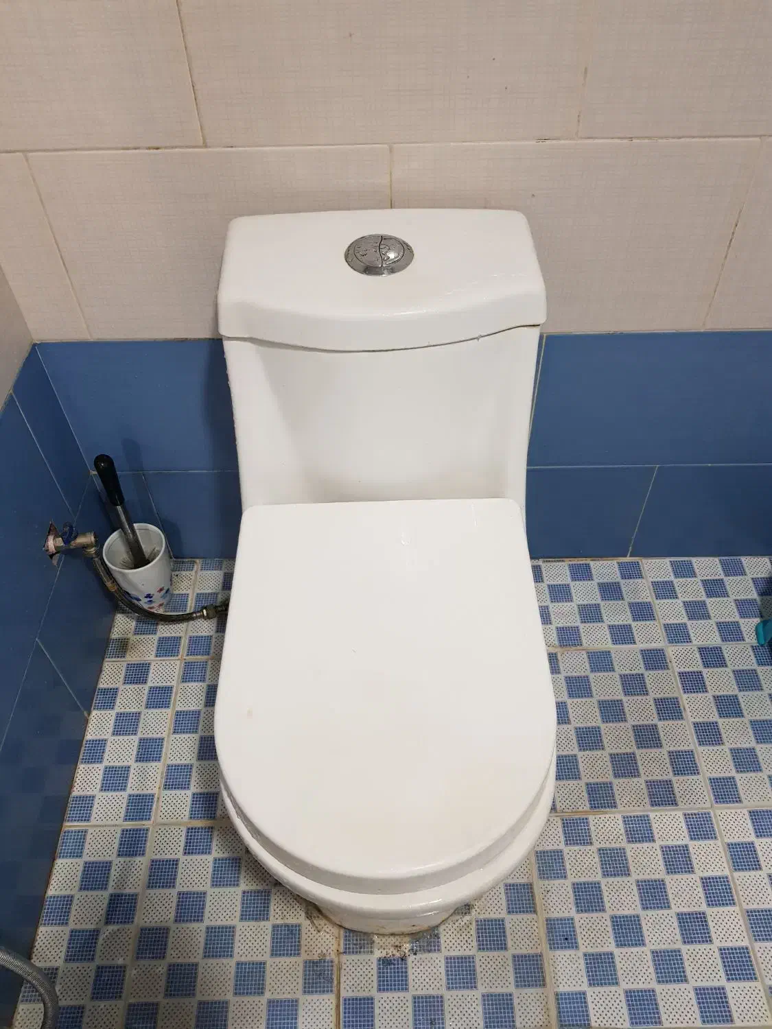 توالت فرنگی|لوازم سرویس بهداشتی|تبریز, |دیوار