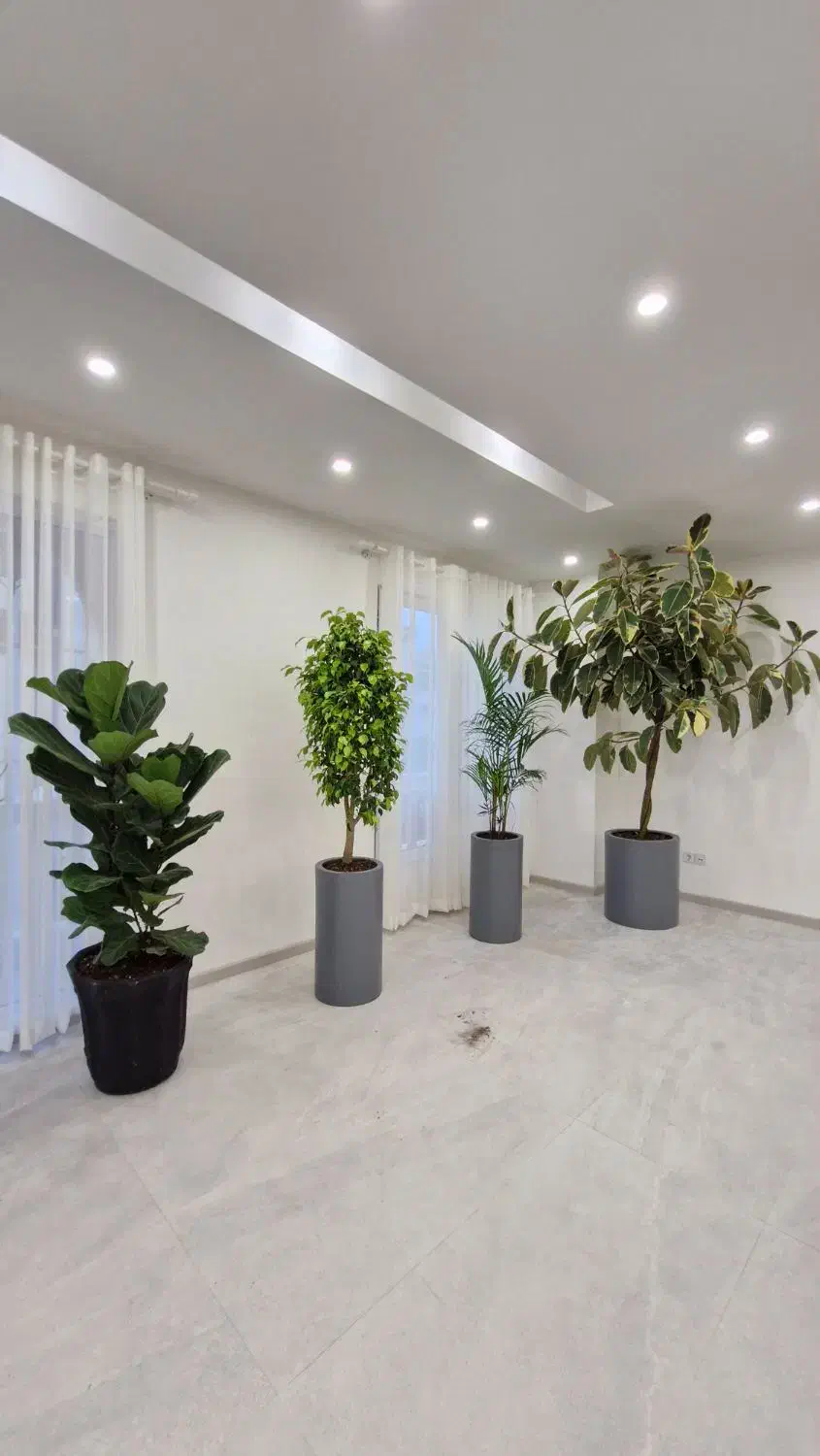 ویزیت تعویض خاک سم پاشی باغچه کاری|خدمات باغبانی و درختکاری|رشت, دیلمان|دیوار