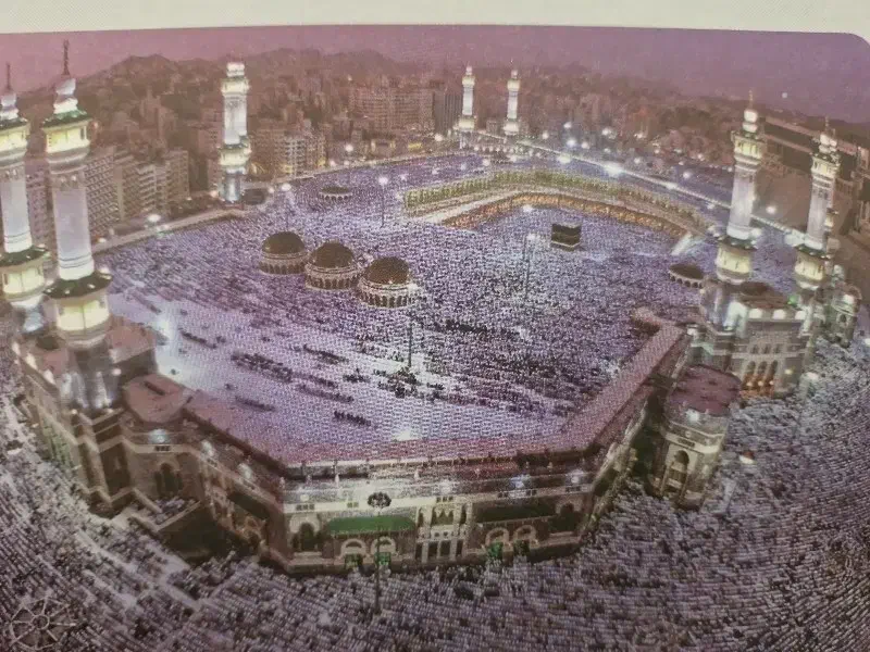 دو عدد حج عمره|تور و چارتر|مرودشت, ژیان|دیوار