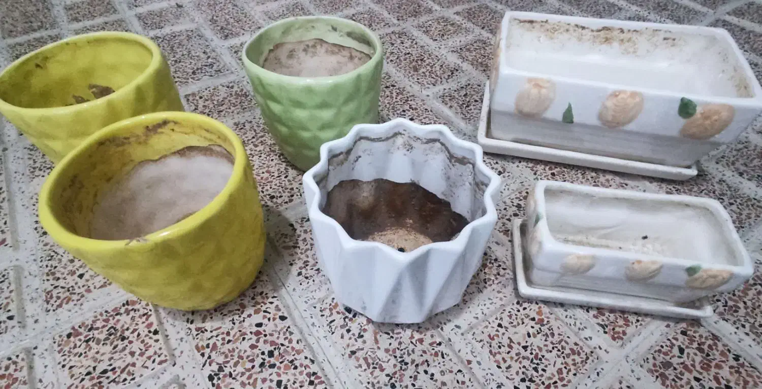 چند مدل گلدان سفالی|گل و گیاه طبیعی|ری, شهرک نظامی|دیوار