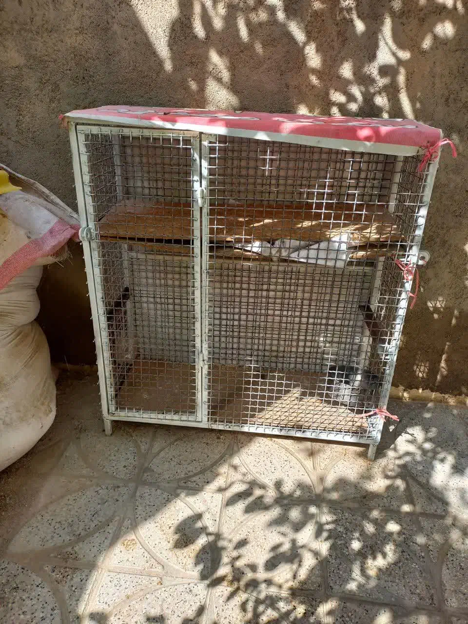 قفس مناسب مرغ و کبوتر|لوازم جانبی حیوانات|بجنورد, |دیوار