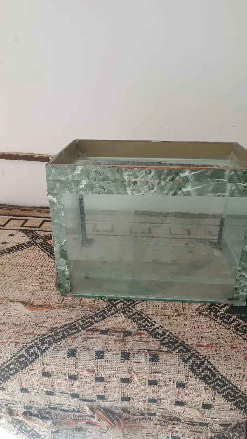 آکواریوم|ماهی|نیشابور, مبارکه|دیوار